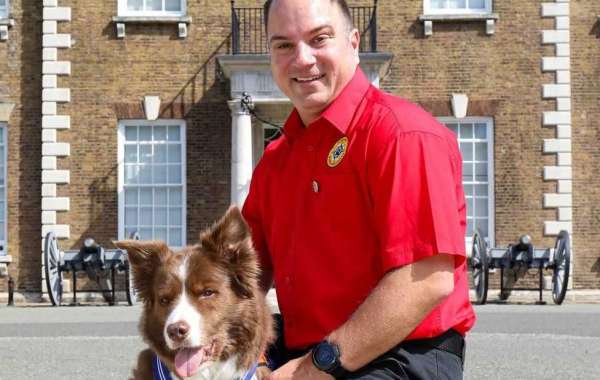 Dogs receive 'animals' OBE' for public service