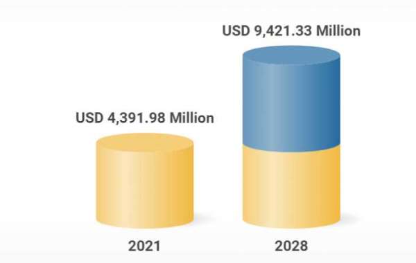 Dermal Fillers Market  Growth, Sales Revenue, Competitive Landscape and Market Expansion Strategies 2028