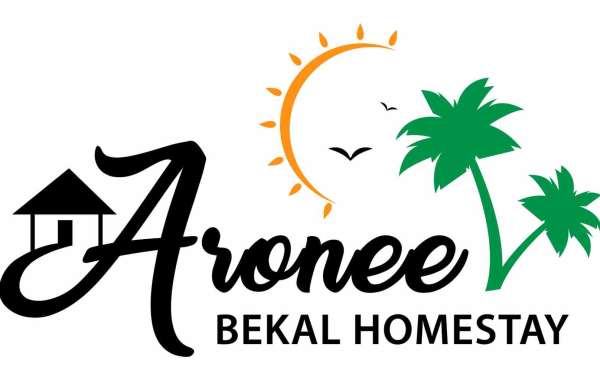 Enjoy the most amazing experience only at Aronee Bekal homestay in Kerala