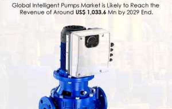 Intelligent Pumps Market is Likely to Reach Nearly US$1 Bn by 2029 End