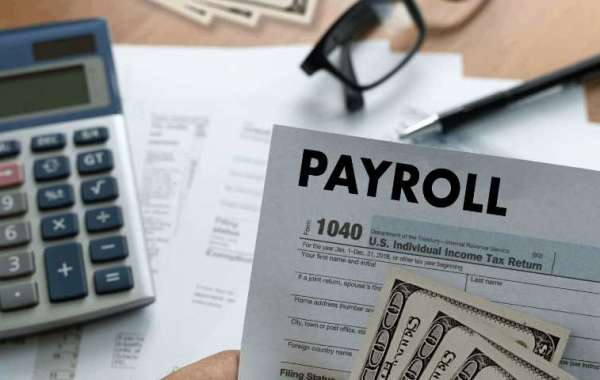 HOW PAYROLL SERVICES COULD HELP YOUR COMPANY