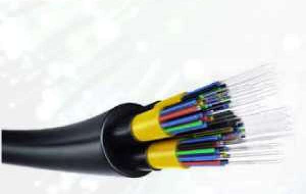 Lit Fiber Market Set to Encounter Paramount Growth by 2029