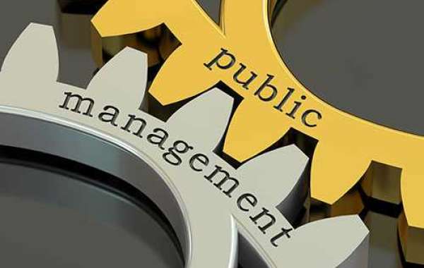 Master of public management south africa