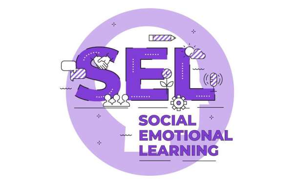 Which Factors Will Afftect The Global Social and Emotional Learning (SEL) Market To Achieve Its Goal By 2028?