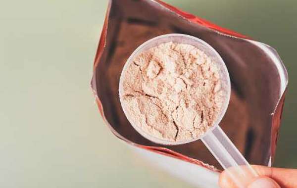 Key Whey Protein Ingredients Market Players, Overview and Forecast 2022-2030