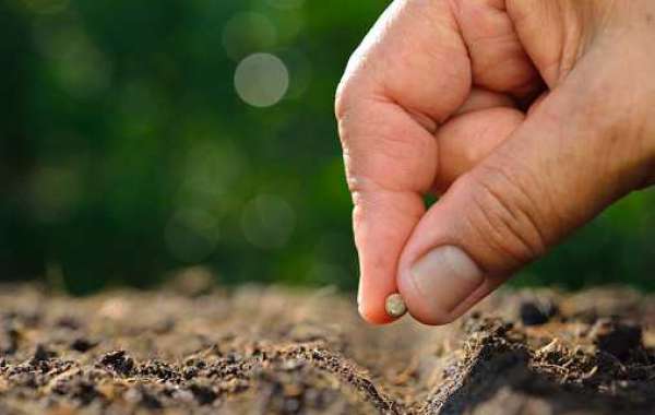 Key Seeds Market Players Will Touch a New Level of Development in Future by Top Companies 2022-2030