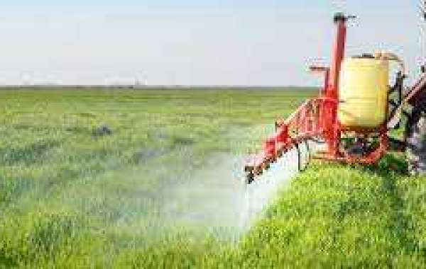 Agricultural Adjuvants Market Size, Top Competitor, Regional Investment, and Forecast