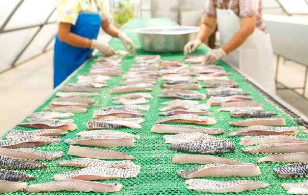 Seafood Processing Market Trends, Positive Demand Outlook and Supportive Valuations