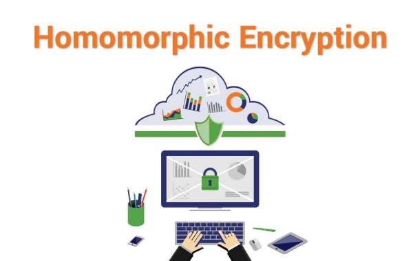 Homomorphic Encryption Market to Witness Upsurge in Growth during the Forecast Period by 2030