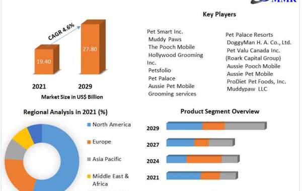 Grooming Service Market Size, by Segmentation, company Sales and Revenue, Production Capacity Forecasted by Region