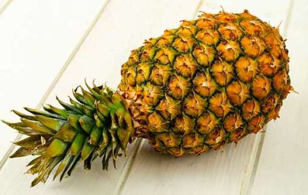 Bromelain Market Insights from Top Companies and Forecast to 2027