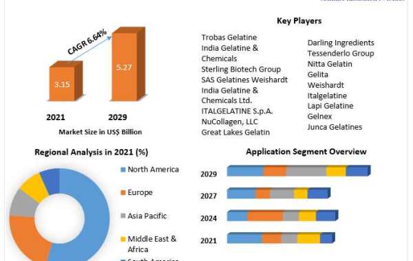 Gelatin Market Key Company Profiles, Types, Applications and Forecast to 2029
