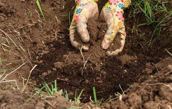 Biofertilizers Market Outlook with Investment, Gross Margin, and Forecast 2030