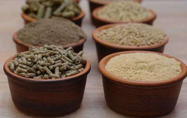 Feed Supplements Market Insights: Revenue, Key Players, and Forecast 2030