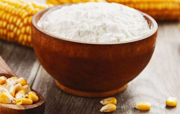 Waxy Maize Starch Market, Growth And Future Prospects Analyzed By 2032