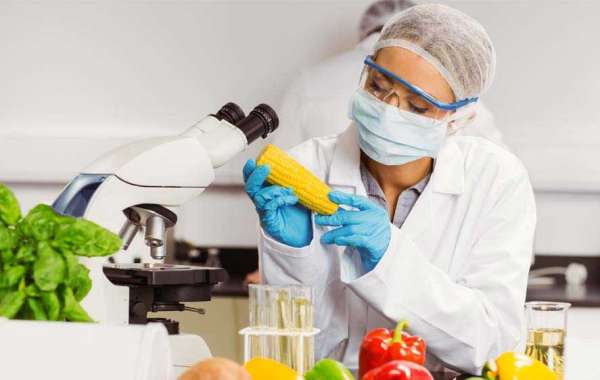 Food Safety Testing Market Rising Impressive Business Opportunities Analysis Forecast 2030