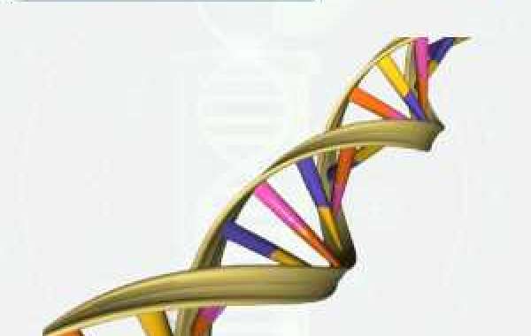 Gene Synthesis Market To Boom In Near Future By 2029 Scrutinized In New Research