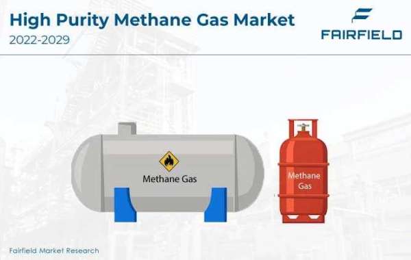 High-Purity Methane Gas  Market Demand, Research Insights by 2029