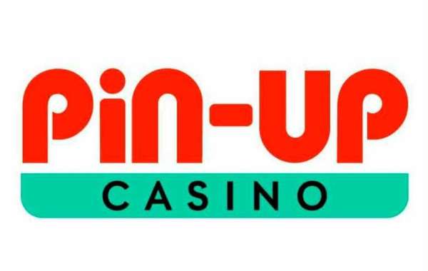 What Makes People Have Fun at Pin Up Gambling