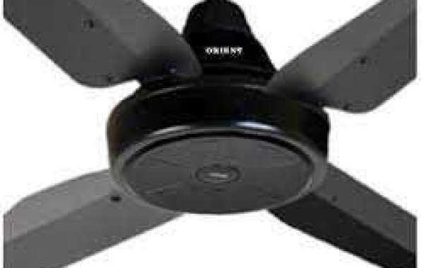 Maximize Air Circulation with a Reversible Ceiling Fan and Light