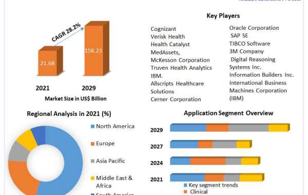 Healthcare Analytics Market Business Developing Strategies, Growth Key Factors, and Forecast 2029