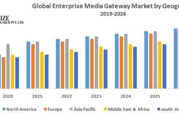 Global Enterprise Media Gateway Market Top Impacting Factors, Growth Analysis, Industry Predictions  and Forecast 2029