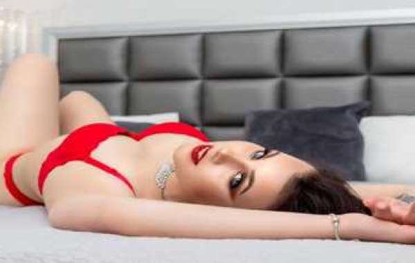 Exploring the 5 Types of Jaipur Escort Services