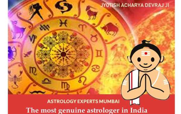 Best astrologer in Pune India