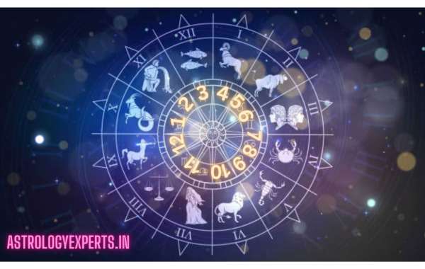 Best career Astrologer in India
