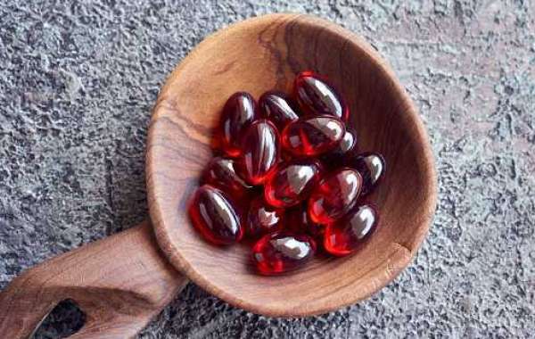 Europe Astaxanthin Market Outlook with Investment, Gross Margin, and Forecast 2030